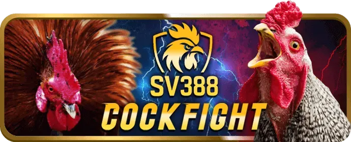 Liên hệ hợp tác với sun52 win